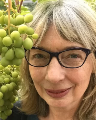 Carol Brown Counsellor